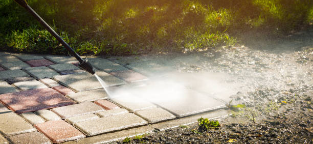 Best Gutter Cleaning  in Country Club Hls, IL