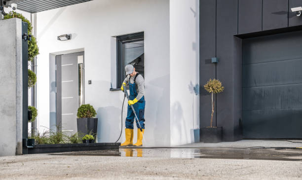 Best Graffiti Removal  in Country Club Hls, IL